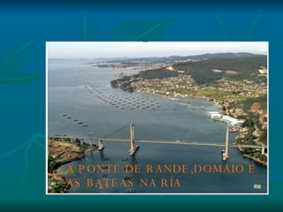 A PONTE DE RANDE,DOMAIO E AS BATEAS NA RÍA