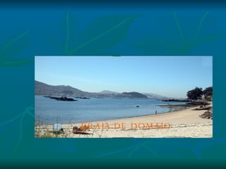PRAIA DE DOMAIO