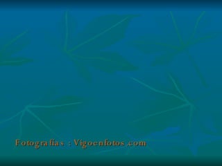 Fotografías : Vigoenfotos.com