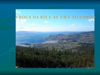 A BOCA DA RÍA E AS CÍES AO FONDO