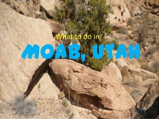 Moab, UtahMoab, Utah
What to do in
 