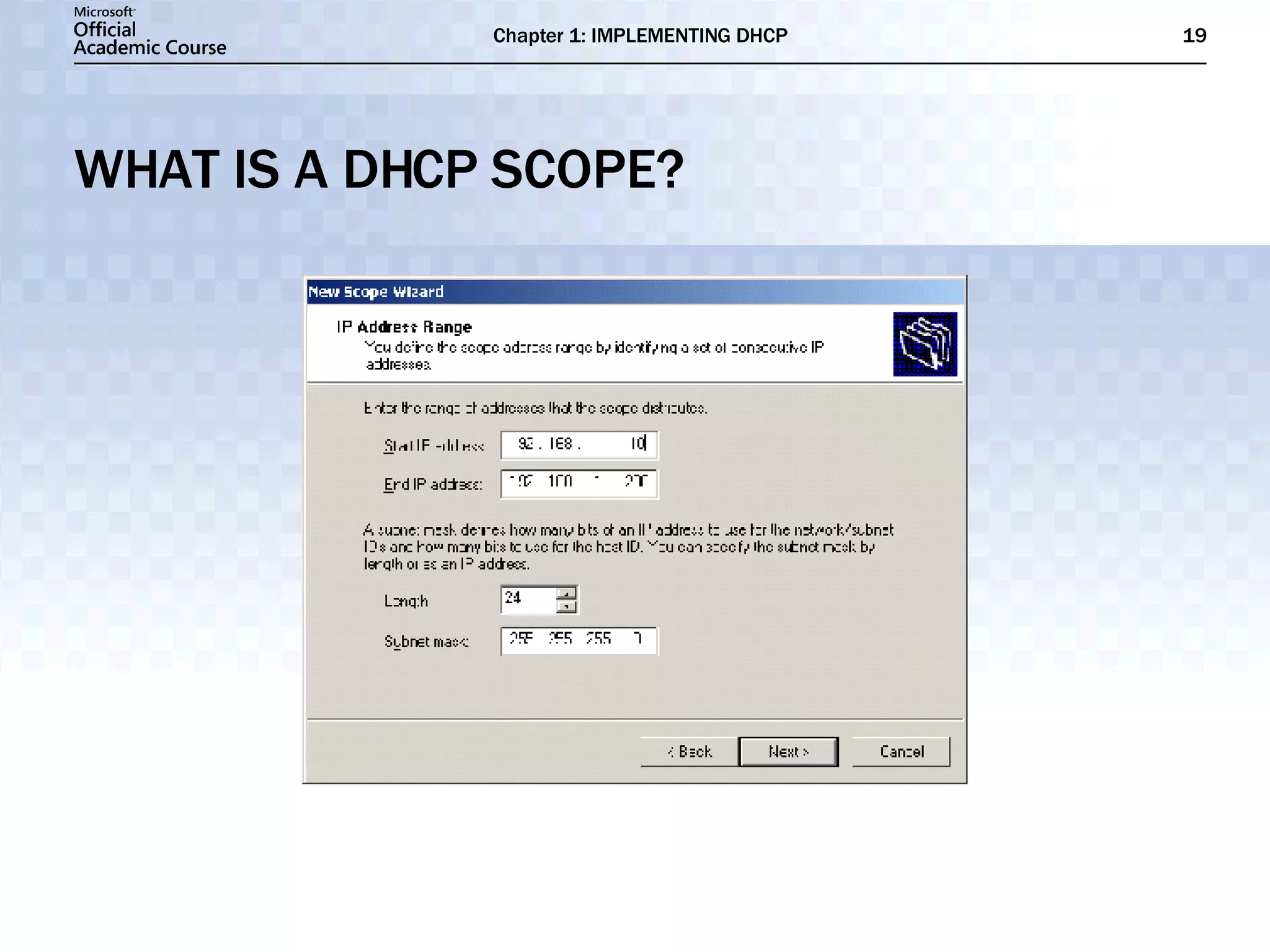 WHAT IS A DHCP SCOPE? 