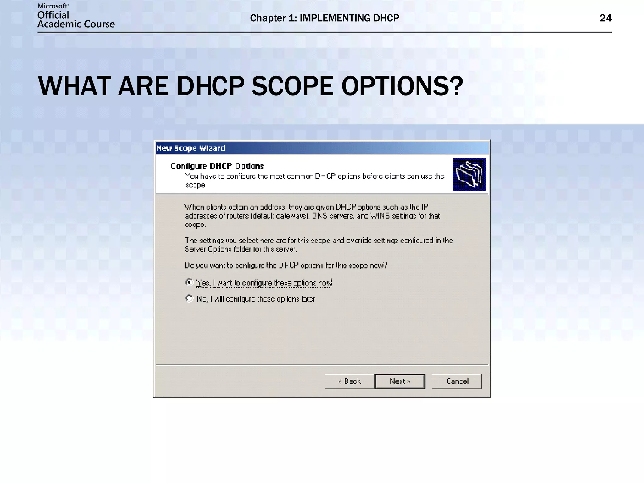 WHAT ARE DHCP SCOPE OPTIONS? 