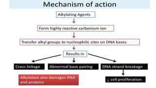 Mechanism of action of Anti CANCER DRUGS.pptx