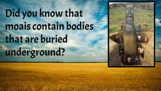 Did you know that
moais contain bodies
that are buried
underground?
 