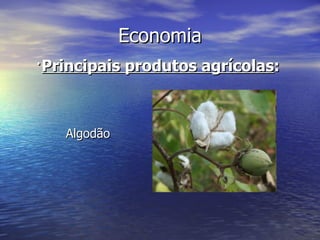 Economia · Principais produtos agrícolas :   Algodão  