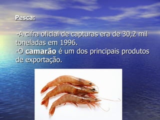 Pesca: -A cifra oficial de capturas era de 30,2 mil toneladas em 1996. -O  camarão  é um dos principais produtos de exportação. 
