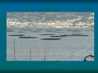 AS BATEAS NA RÍA