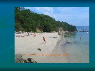 PRAIA DA BORNA, MEIRA