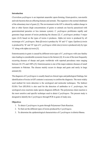 Introduction
Clostridium perfringens is an important anaerobic spore-forming, Gram-positive, non-motile
and rods bacteria that are affecting humans and animals. The organism is the normal inhabitant
of the alimentary tract of goats [1]. The environment in the GIT is altered by sudden change in
diet or other factors (high concentrations of grains or animals are heavily parasitized with
gastrointestinal parasites or less immune system). C. perfringens proliferates rapidly and
generates large amount of toxins producing the disease [2]. C. perfringens produce 5 major
types (A-E) based on the types of toxins it produces. Alpha (α) toxin is produced by all
toxinotype of C. perfringens. Beta (β) toxin is produce by ‘B’ and ‘C’ types. Epsilon (ε) toxin
is produced by ‘B’ and ‘D’ type of C. perfringens while iota (ι) toxin is produced only by type
‘E’ along with alpha (α) toxin [3].
Enterotoxaemia in goats is caused by different toxin types of C. perfringens with case fatality
rates leading to considerable economic losses to the farmers [4]. It is one of the most frequently
occurring diseases of sheeps and goats worldwide with reported prevalence rates ranging
between 24.13% and 100% [5]. Enterotoxaemia is one of the major endemic diseases of small
ruminants in Pakistan. The disease mainly occurs in sheeps and goats and rarely in large
animals [6].
The diagnosis of C.perfringens is usually based on clinical signs and pathological findings, but
identification of toxins in GIT contents is necessary to confirm the diagnosis. The most widely
used method for toxin detection is the serological and molecular techniques. The Indirect
ELISA Test (IELISA) is also used for the detection of antibodies to C. perforinges, but
serological cross reactions make species diagnosis difficult. The polymerase chain reaction is
the most sensitive and specific technique used to detect C.perfringens. The present study is
designed to identify the C.perfringens through PCR in goats of study area.
Objectives
1. To detect C.perfringens in goats through Polymerase Chain Reaction.
2. To find out the different types of toxins produced by C.perfringens.
3. To determine the epidemiological characteristics of C.perfringens in district Bannu.
 