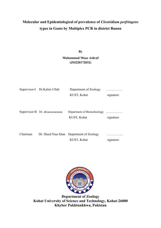 Molecular and Epidemiological of prevalence of Clostridium perfringens
types in Goats by Multiplex PCR in district Bannu
By
Muhammad Moaz Ashraf
(ZO220172032)
Supervisor-I Dr.Kalim Ullah Department of Zoology ……………
KUST, Kohat signature
Supervisor-II Dr. abcaccacacacac Department of Biotechnology ……………
KUST, Kohat signature
Chairman Dr. Shaid Niaz khan Department of Zoology ……………
KUST, Kohat signature
Department of Zoology
Kohat University of Science and Technology, Kohat-26000
Khyber Pakhtunkhwa, Pakistan
 