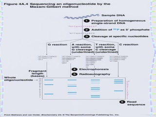 •Principle
A graphical demonstration
 