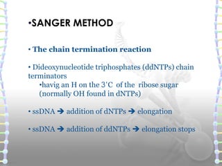 •SANGER METHOD
• The chain termination reaction
• Dideoxynucleotide triphosphates (ddNTPs) chain
terminators
•havig an H on the 3’C of the ribose sugar
(normally OH found in dNTPs)
• ssDNA  addition of dNTPs  elongation
• ssDNA  addition of ddNTPs  elongation stops
 