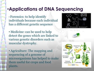 •Applications of DNA Sequencing
• Forensics: to help identify
individuals because each individual
has a different genetic sequence
• Medicine: can be used to help
detect the genes which are linked to
various genetic disorders such as
muscular dystrophy.
• Agriculture: The mapping and
sequencing of a genome of
microorganisms has helped to make
them useful for crops and food
plants.
 