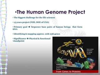 •The Human Genome Project
• The biggest challenge for the life sciences
• 15 years project (NIH, DOE of USA)
• Primary goal  Sequence base pairs of human beings that form
DNA
• Identifying & mapping approx. 20K-25K genes
• Significance  Physical & functional
•standpoint
 