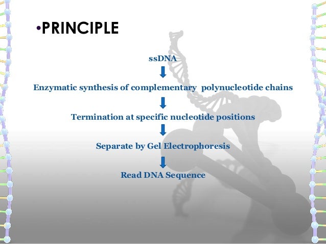 slideshare