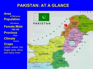 PAKISTAN: AT A GLANCE Area 877406 sq.km Population 169 millions   Female:Male  100:108 Province Four Climate Diverse Crops cotton, wheat, rice Sugar cane, citrus and many more 