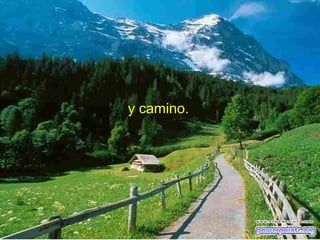 y camino.

 