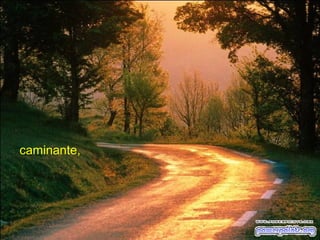 caminante,

 