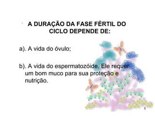 A DURAÇÃO DA FASE FÉRTIL DO CICLO DEPENDE DE: a). A vida do óvulo; b). A vida do espermatozóide. Ele requer um bom muco para sua proteção e nutrição. 