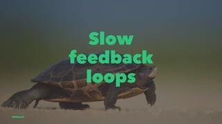 Slow
feedback
loops
@EliSawic
 