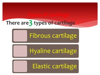 Types of cartilage
There are3types of cartilage
Fibrous cartilage
Hyaline cartilage
Elastic cartilage
 
