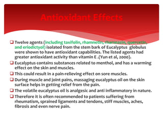 Twelve agents (including taxifolin, rhamnetin, rhamnazin, quercetin,
and eriodictyol) isolated from the stem bark of Eucalyptus globulus
were shown to have antioxidant capabilities. The listed agents had
greater antioxidant activity than vitamin E .(Yun et al, 2000).
 Eucalyptus contains substances related to menthol, and has a warming
effect on the skin and muscles.
 This could result in a pain-relieving effect on sore muscles.
 During muscle and joint pains, massaging eucalyptus oil on the skin
surface helps in getting relief from the pain.
 The volatile eucalyptus oil is analgesic and anti inflammatory in nature.
 Therefore it is often recommended to patients suffering from
rheumatism, sprained ligaments and tendons, stiff muscles, aches,
fibrosis and even nerve pain.
Antioxidant Effects
 