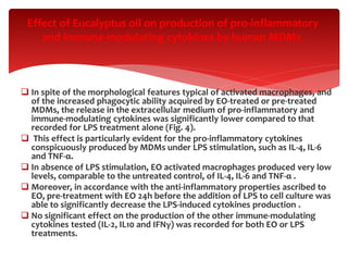  In spite of the morphological features typical of activated macrophages, and
of the increased phagocytic ability acquired by EO-treated or pre-treated
MDMs, the release in the extracellular medium of pro-inflammatory and
immune-modulating cytokines was significantly lower compared to that
recorded for LPS treatment alone (Fig. 4).
 This effect is particularly evident for the pro-inflammatory cytokines
conspicuously produced by MDMs under LPS stimulation, such as IL-4, IL-6
and TNF-α.
 In absence of LPS stimulation, EO activated macrophages produced very low
levels, comparable to the untreated control, of IL-4, IL-6 and TNF-α .
 Moreover, in accordance with the anti-inflammatory properties ascribed to
EO, pre-treatment with EO 24h before the addition of LPS to cell culture was
able to significantly decrease the LPS-induced cytokines production .
 No significant effect on the production of the other immune-modulating
cytokines tested (IL-2, IL10 and IFNγ) was recorded for both EO or LPS
treatments.
Effect of Eucalyptus oil on production of pro-inflammatory
and immune-modulating cytokines by human MDMs
 