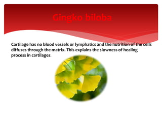 bilobaGingko
Cartilage has no blood vessels or lymphatics and the nutrition of the cells
diffuses through the matrix. This explains the slowness of healing
process in cartilages.
 