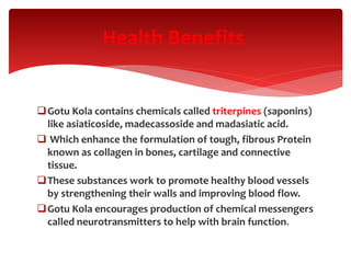 Gotu Kola contains chemicals called triterpines (saponins)
like asiaticoside, madecassoside and madasiatic acid.
 Which enhance the formulation of tough, fibrous Protein
known as collagen in bones, cartilage and connective
tissue.
These substances work to promote healthy blood vessels
by strengthening their walls and improving blood flow.
Gotu Kola encourages production of chemical messengers
called neurotransmitters to help with brain function.
Health Benefits
 