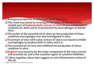 Biological properties of clove have been reported.
This work was aimed to investigate the effect in vivo of a water-
soluble part of hydroalcoholic extract of clove on pro-inflammatory
cytokines (IL-1beta and IL-6) production by macrophages of BALB/c
mice.
The action of the essential oil of clove on the production of these
cytokines macrophages was also investigated in vitro.
Treatment of mice with water extract of clove was found to inhibit
macrophages to produce both IL-1beta and IL-6.
The essential oil of clove also inhibited the production of these
cytokines in vitro.
Eugenol was found to be the major component of the clove extract
and essential oil, and is the causative agent of cytokine inhibition.
 Taken together, these data suggest an anti-inflammatory action of
this oil.
Rodrigues TG, Fernandes A Jr, Sousa JP, Bastos JK, Sforcin JM.
In vitro and in vivo effects of clove on pro-inflammatory
cytokines production by macrophages.
 