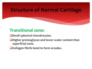 Structure of Normal Cartilage
Transitional zone:
Small spherical chondrocytes.
Higher proteoglycan and lower water content than
superficial zone.
Collagen fibrils bend to form arcades.
 