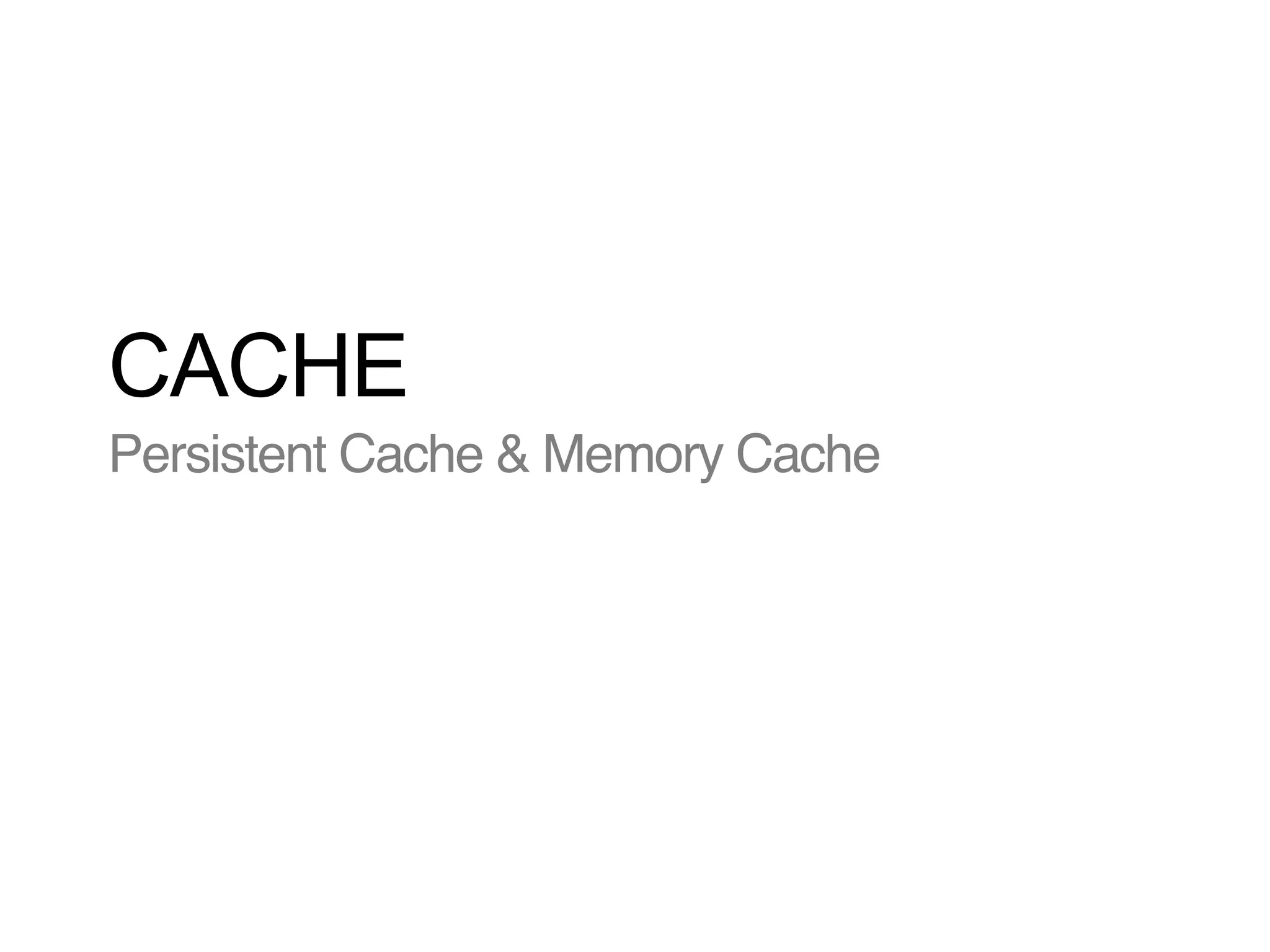 CACHE
Persistent Cache & Memory Cache

 