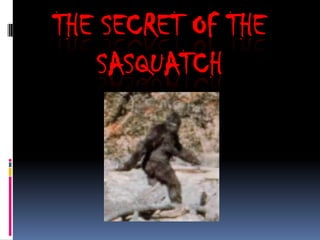 THE SECRET OF THE
SASQUATCH
 