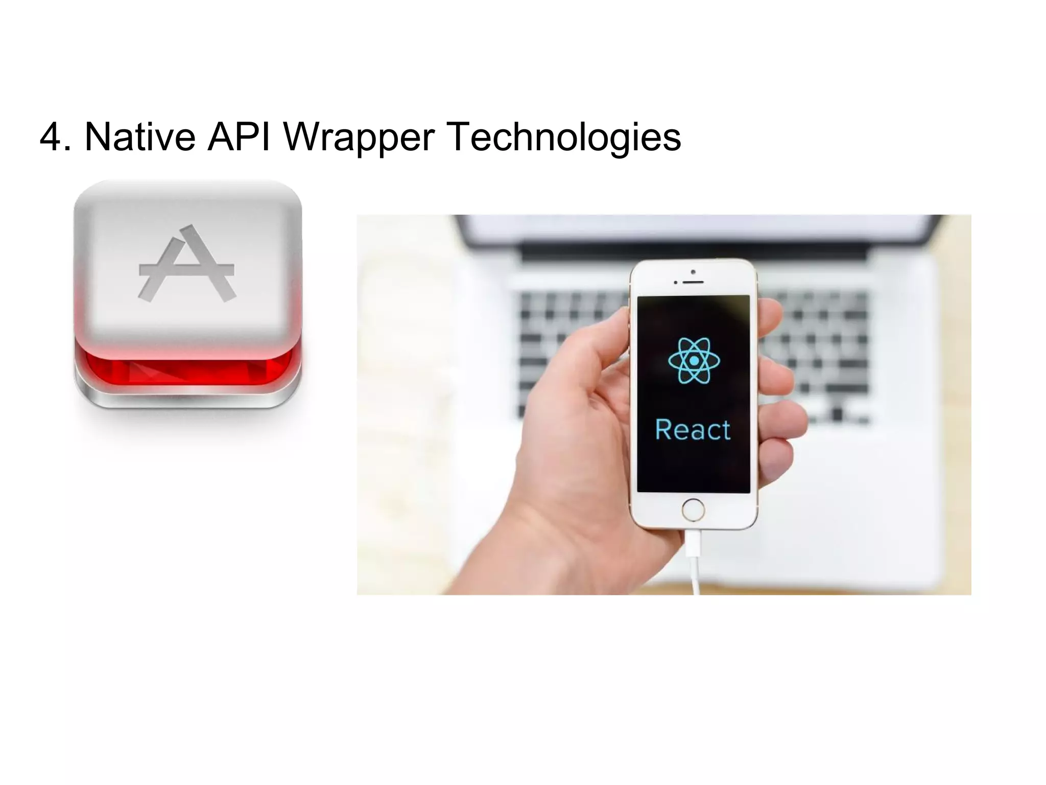 4. Native API Wrapper Technologies
 