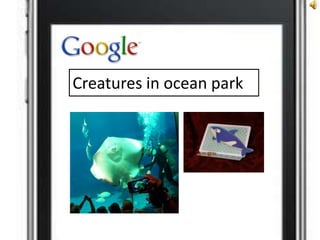 Creatures in ocean park

 