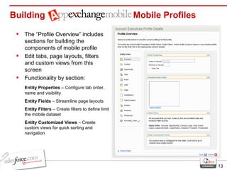 Building    Mobile Profiles The “Profile Overview” includes sections for building the components of mobile profile Edit tabs, page layouts, filters and custom views from this screen Functionality by section: Entity Properties  – Configure tab order, name and visibility Entity Fields  – Streamline page layouts Entity Filters  – Create filters to define limit the mobile dataset Entity Customized Views  – Create custom views for quick sorting and navigation 