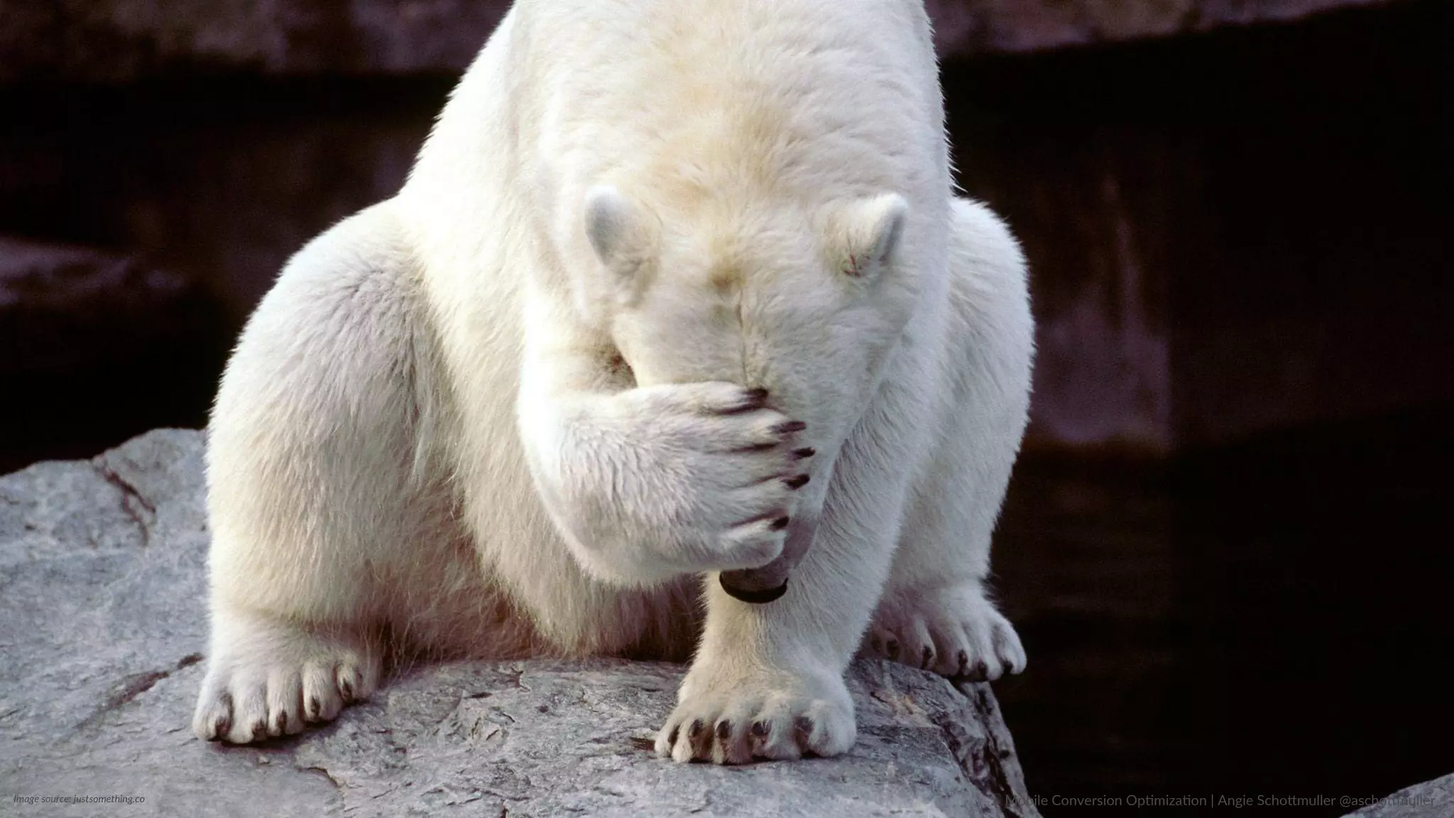 Image  source:  justsomething.co   ::    Mobile  Conversion  OpCmizaCon  |  Angie  SchoJmuller  @aschoJmuller  
 