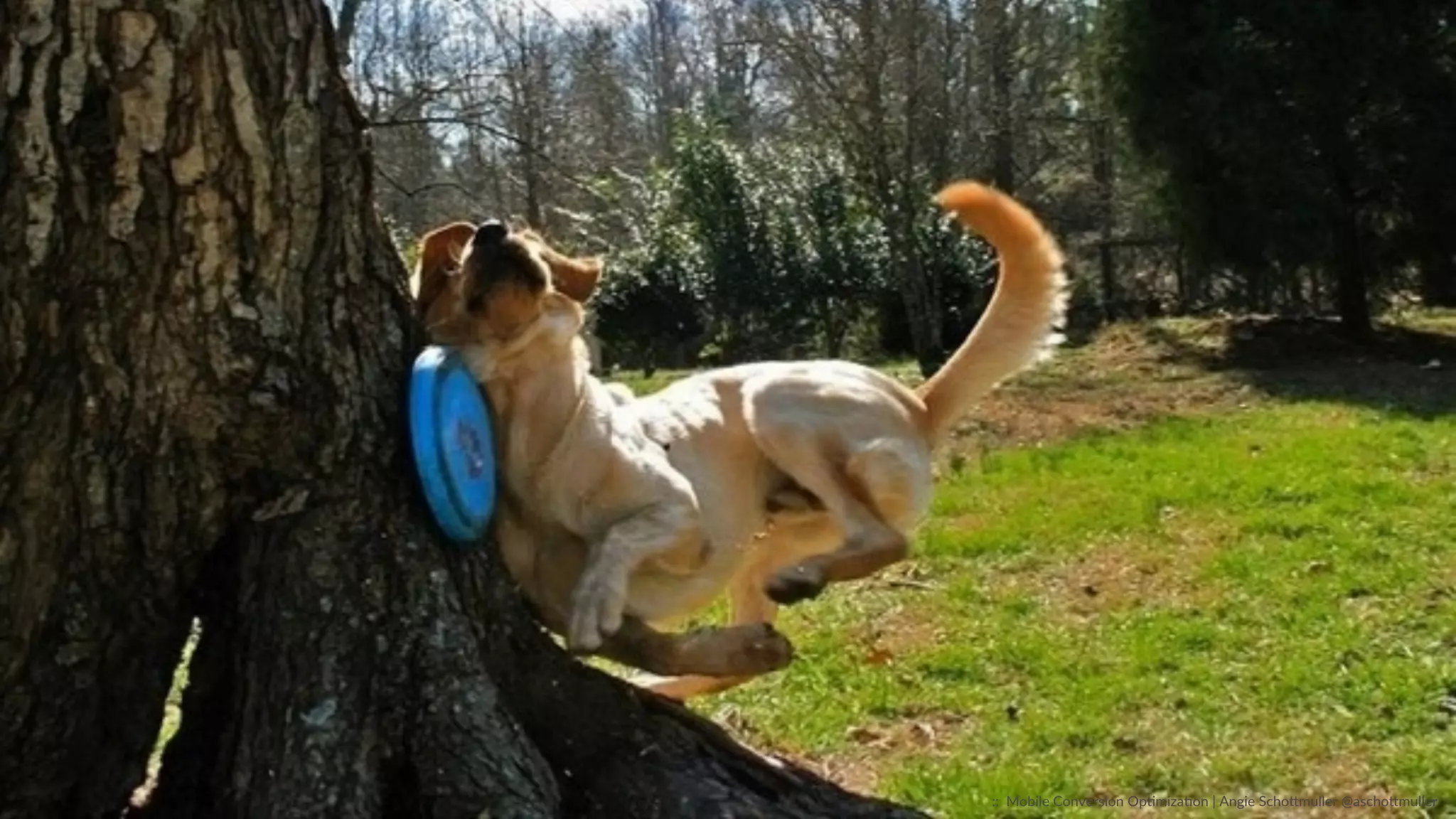 Top  Visited  Page  on  “m.”  Websites….  
Desktop  Version  
::    Mobile  Conversion  OpCmizaCon  |  Angie  SchoJmuller  @aschoJmuller  
 