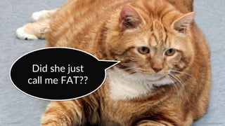Image  source:  galleryhip.com  
Did  she  just  
call  me  FAT??  
::    Mobile  Conversion  OpCmizaCon  |  Angie  SchoJmuller  @aschoJmuller  
 