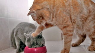 Image  source:  justsomething.co   ::    Mobile  Conversion  OpCmizaCon  |  Angie  SchoJmuller  @aschoJmuller  
 