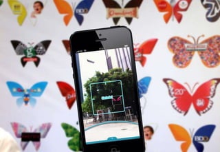 The Optimum Approach – iButterfly
 