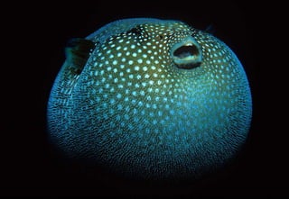 Making It Happen – Resource and Process
 