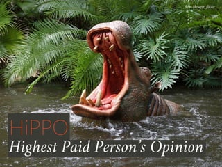 HiPPO
Highest Paid Person’s Opinion
Sam Howzit, flickr
 