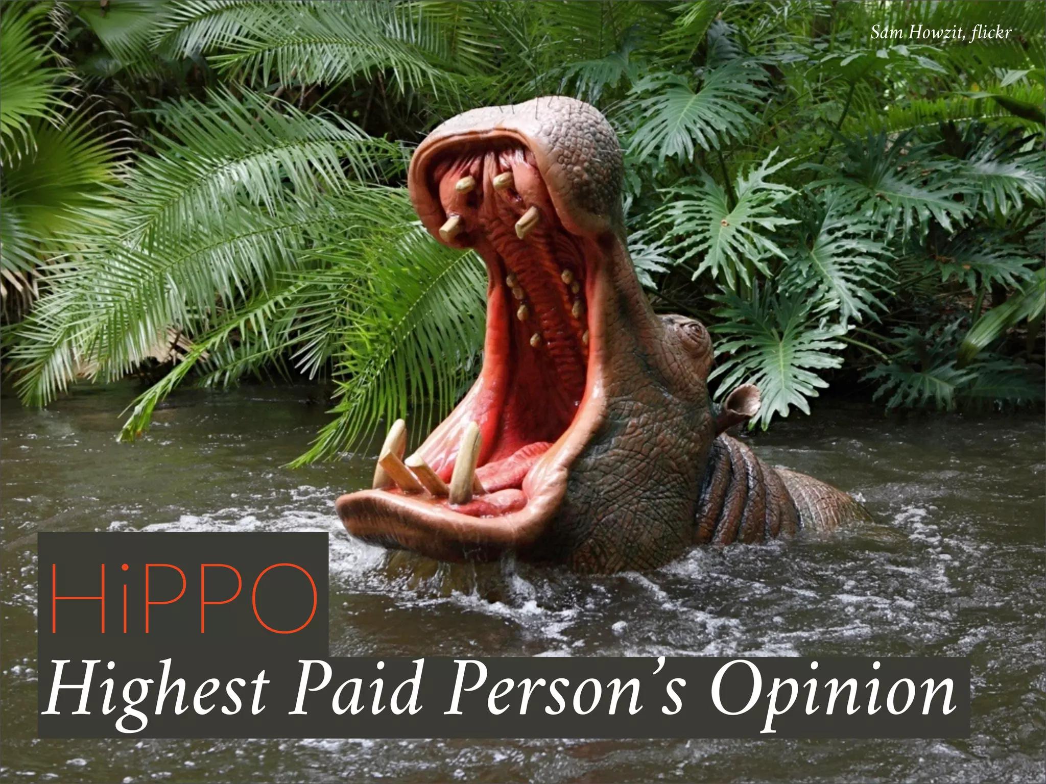 HiPPO
Highest Paid Person’s Opinion
Sam Howzit, flickr
 