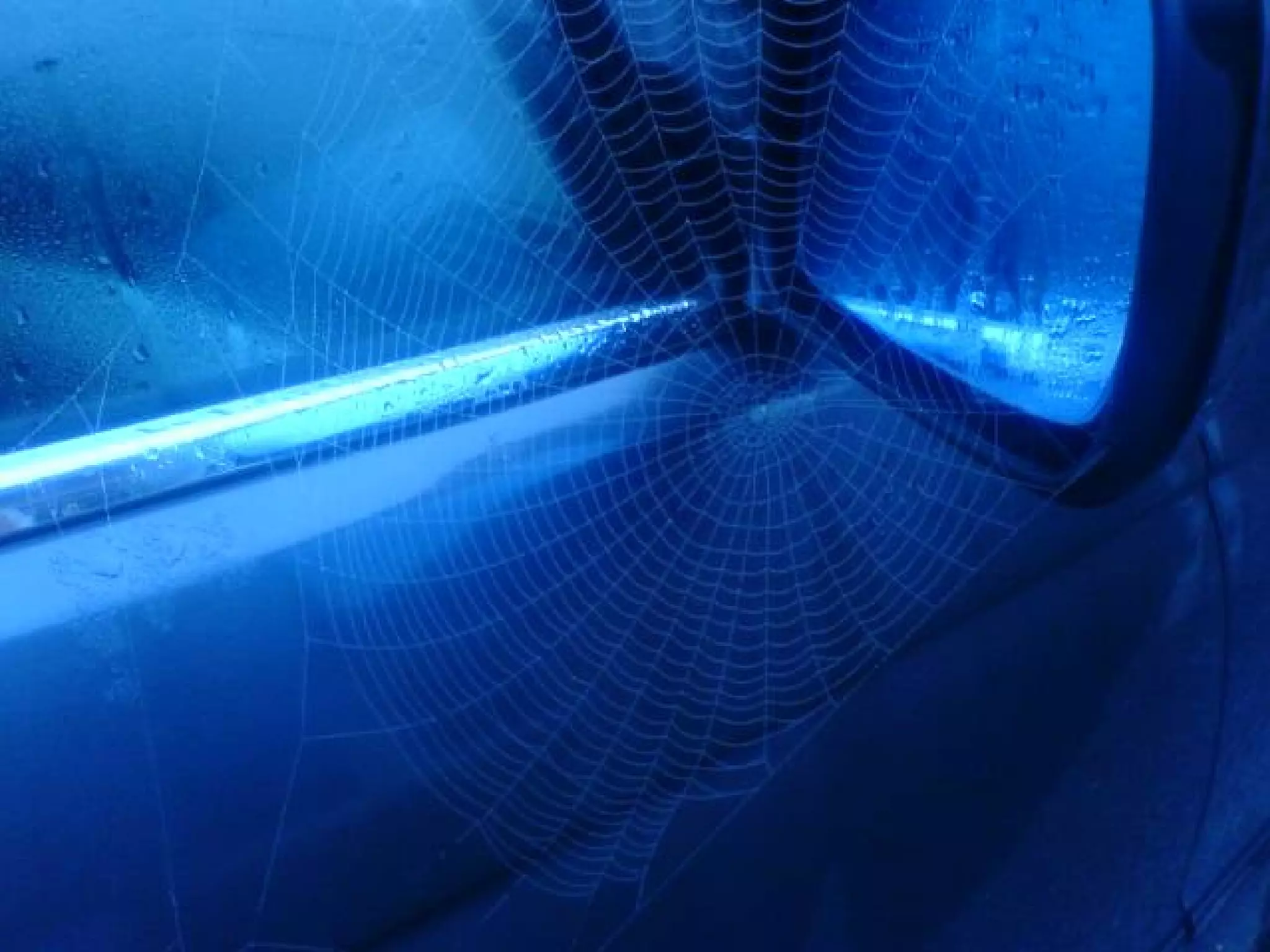 A Mobile Web? http://flickr.com/photos/petitecorneille/257453343/ 