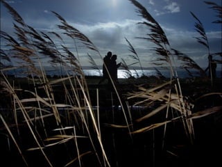 http://flickr.com/photos/azrehman/357399358/ 
