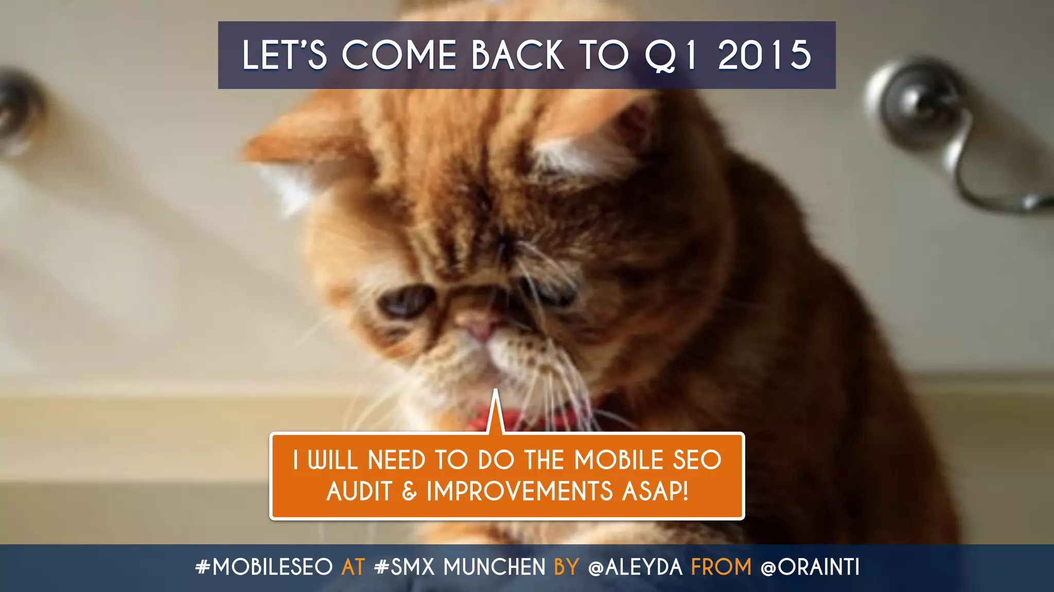 I WILL NEED TO DO THE MOBILE SEO
AUDIT & IMPROVEMENTS ASAP!
LET’S COME BACK TO Q1 2015
#MOBILESEO AT #SMX MUNCHEN BY @ALEYDA FROM @ORAINTI
 