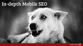 In-depth Mobile SEO
 