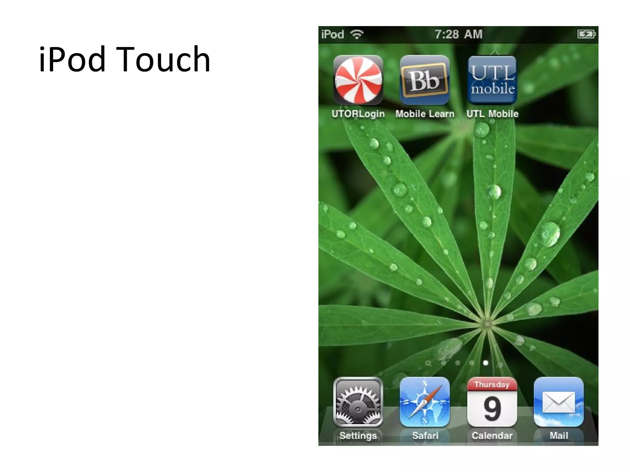 iPod Touch 